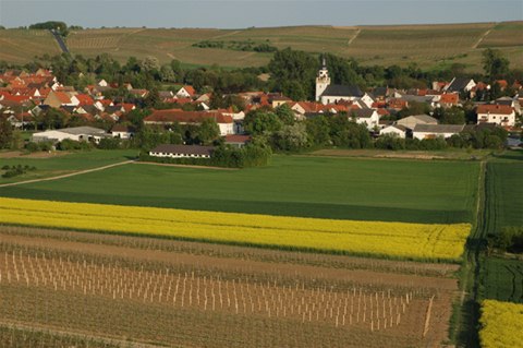 Saulheim 03